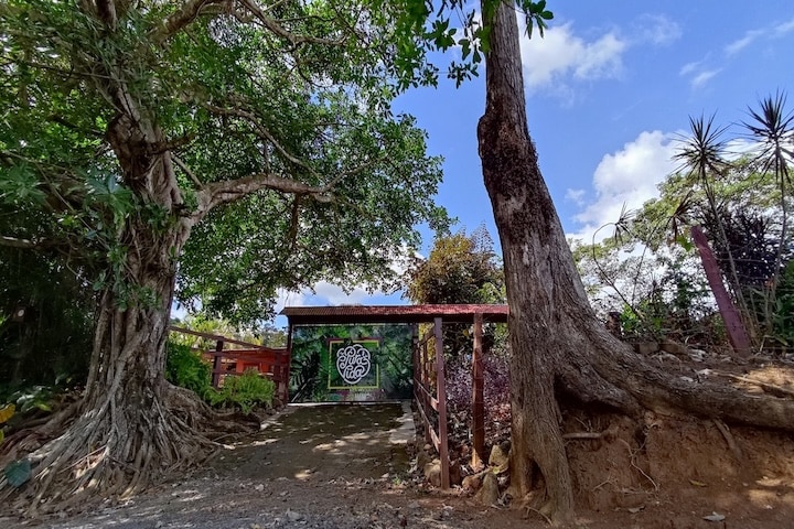 Casa Pura Vida - Orotina, Alajuela, Costa Rica - Vacation Rental