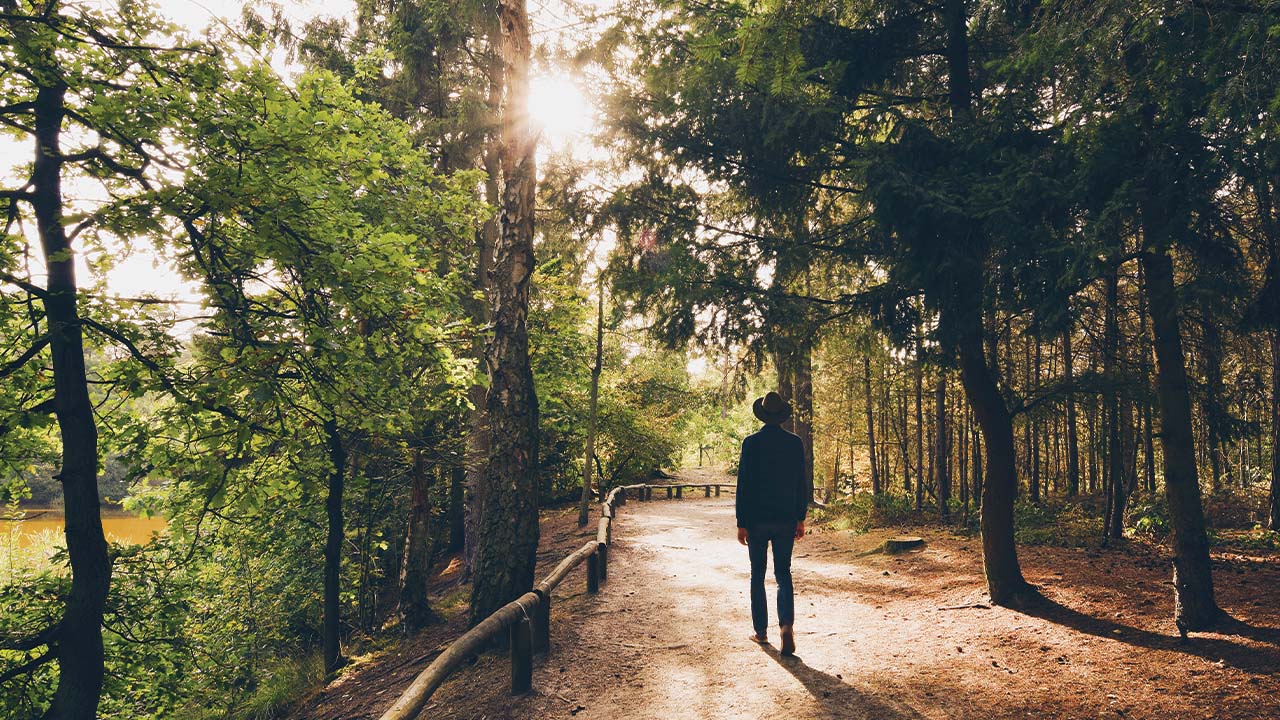 Expansion Pathways The Retreat - Retreat in Costa Rica by Cerro Verde